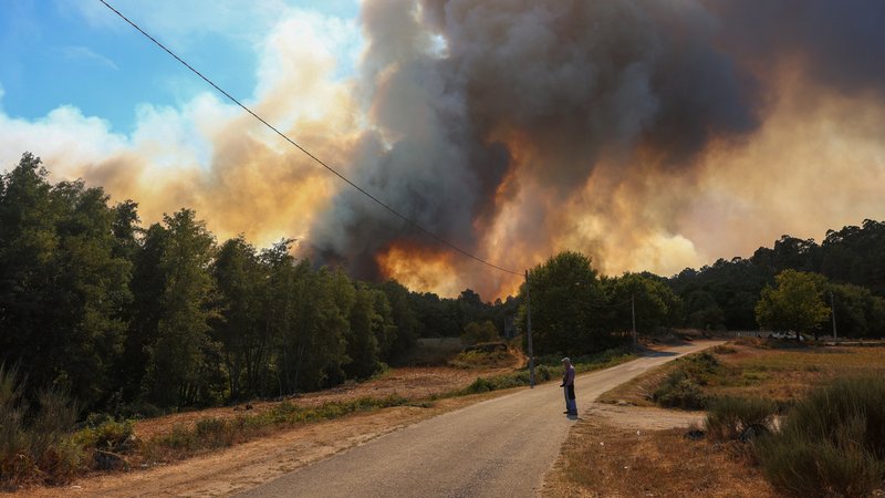 Waldbrände in der Nähe von Penalva do Castelo | Bild: REUTERS/Pedro Nunes Waldbrände in der Nähe von Penalva do Castelo
