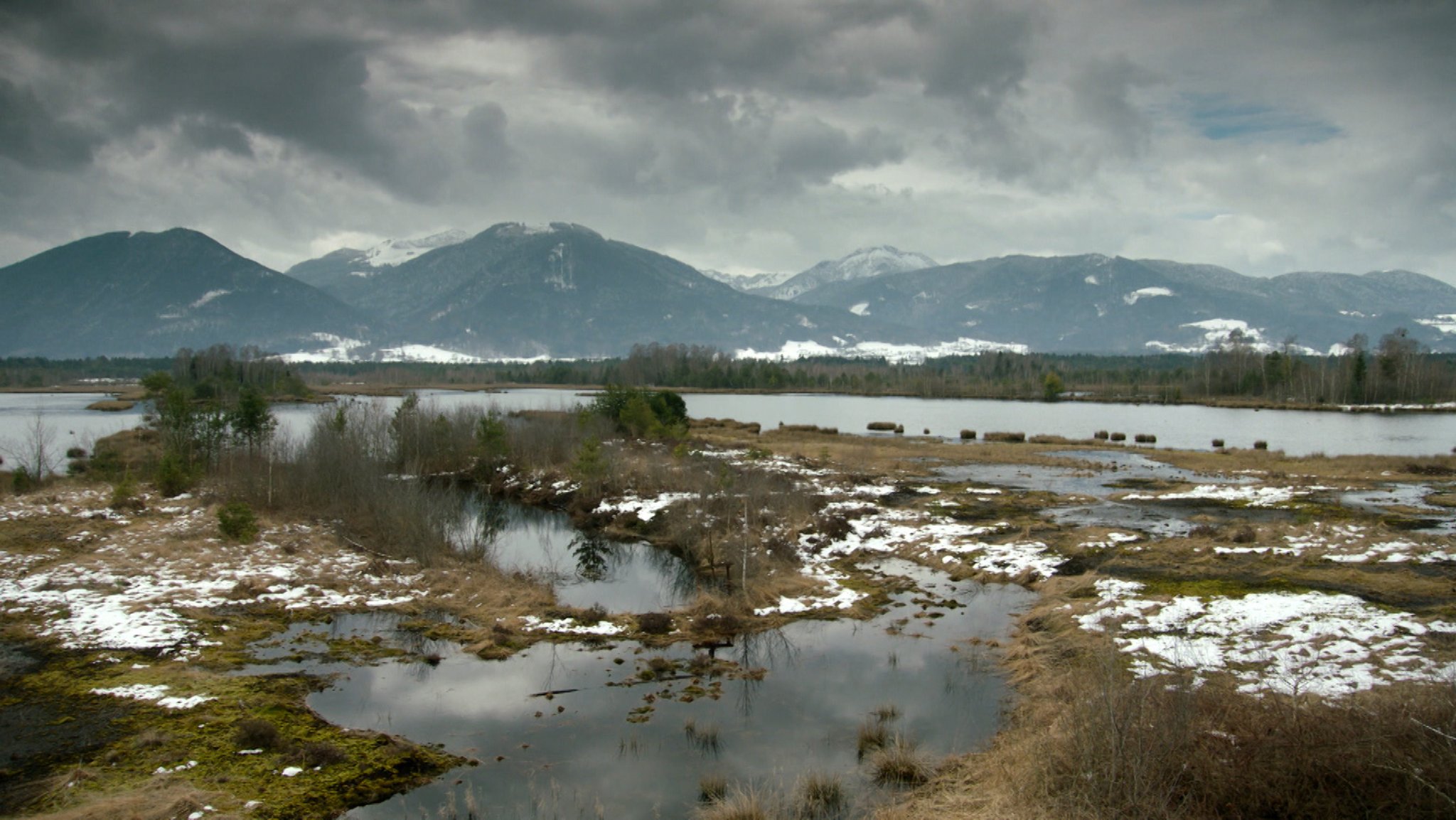 Das Naturschutzgebiet Rosenheimer Stammbeckenmoore