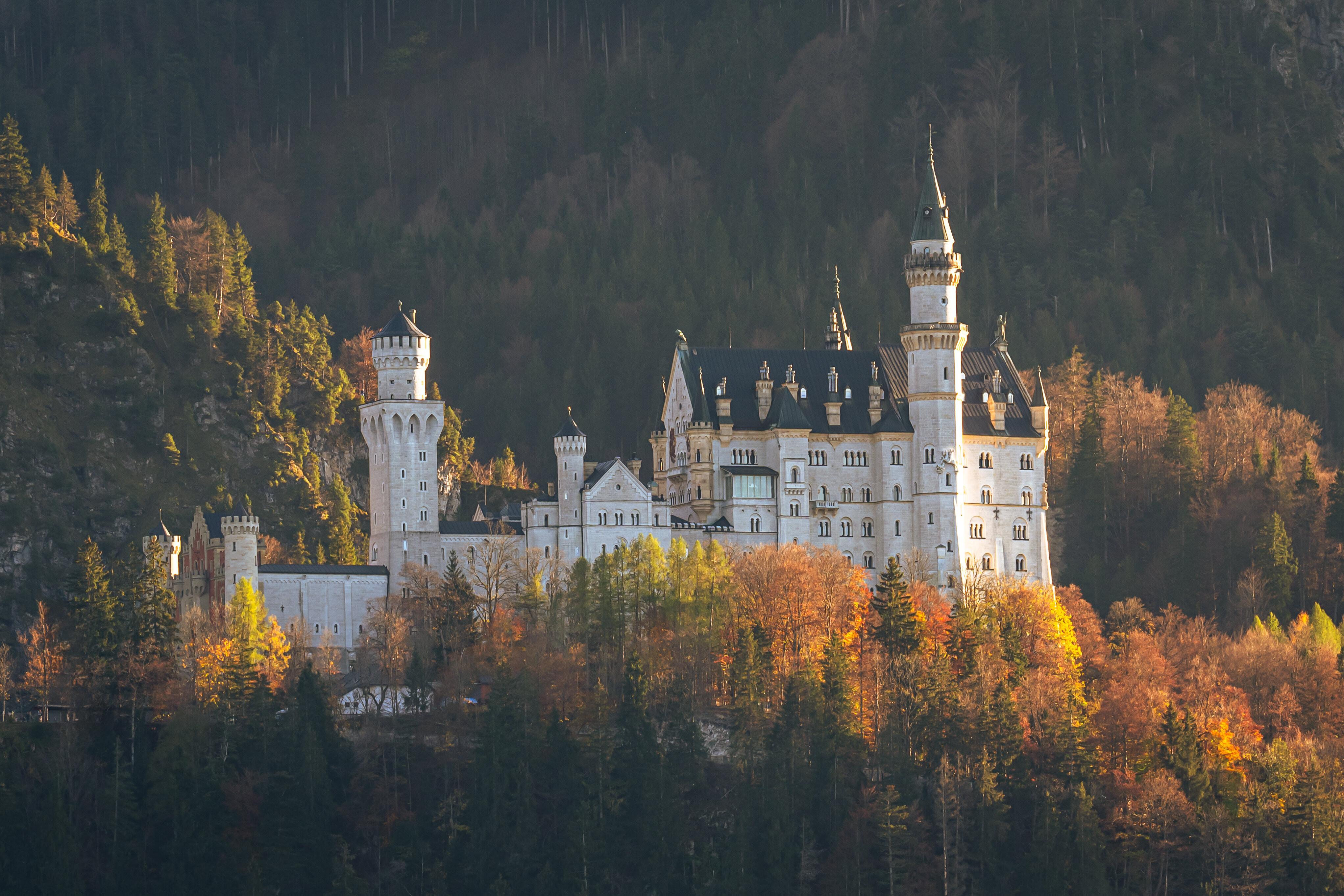 Das Königsschloss inmitten gold-gelb gefärbter Laubbäume