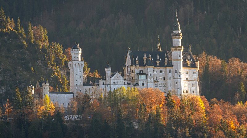 Das Königsschloss inmitten gold-gelb gefärbter Laubbäume | Bild: Dirk Pagels/Picture Alliance Das Königsschloss inmitten gold-gelb gefärbter Laubbäume