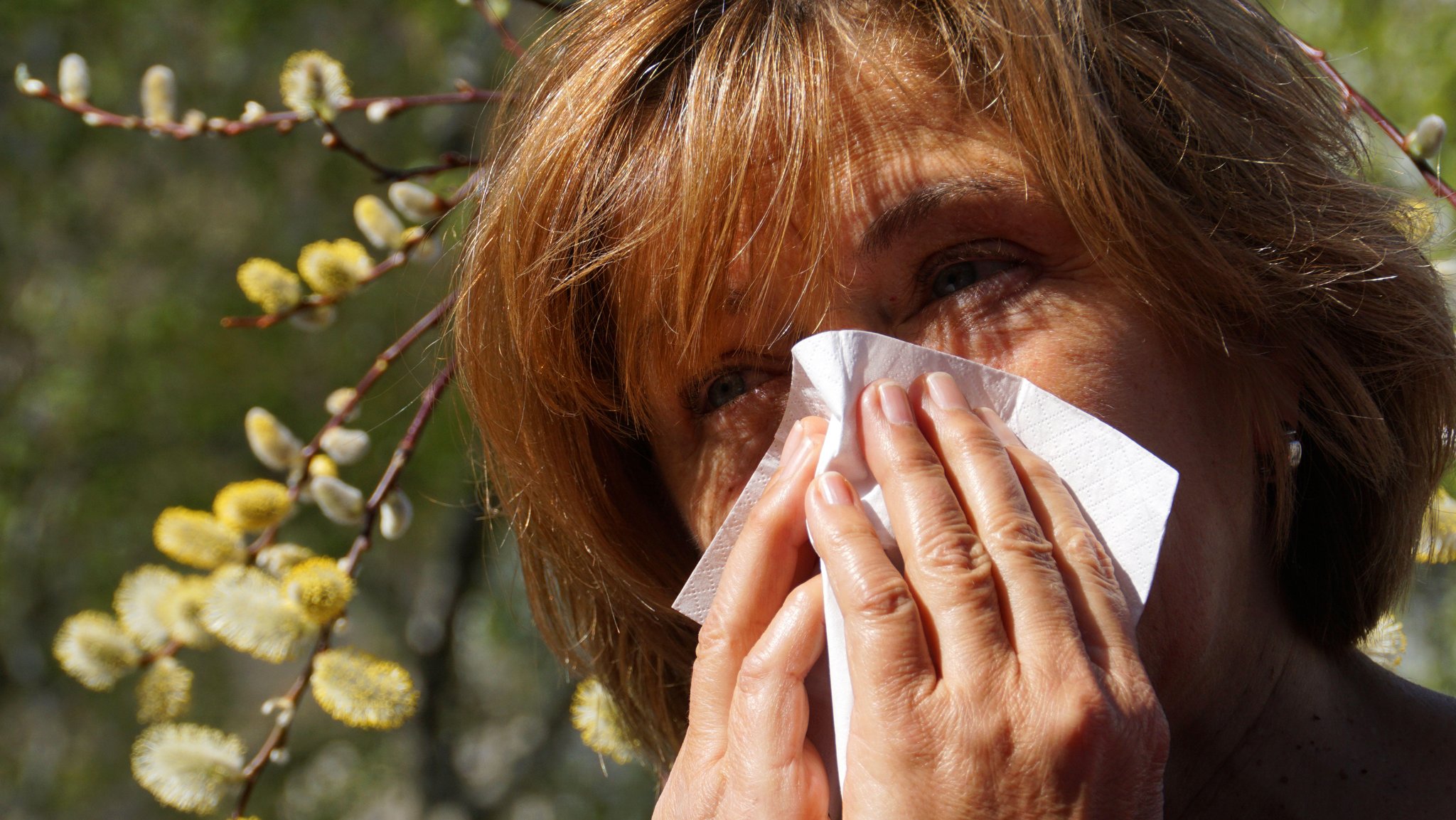 Heuschnupfen - die Pollen fliegen wieder