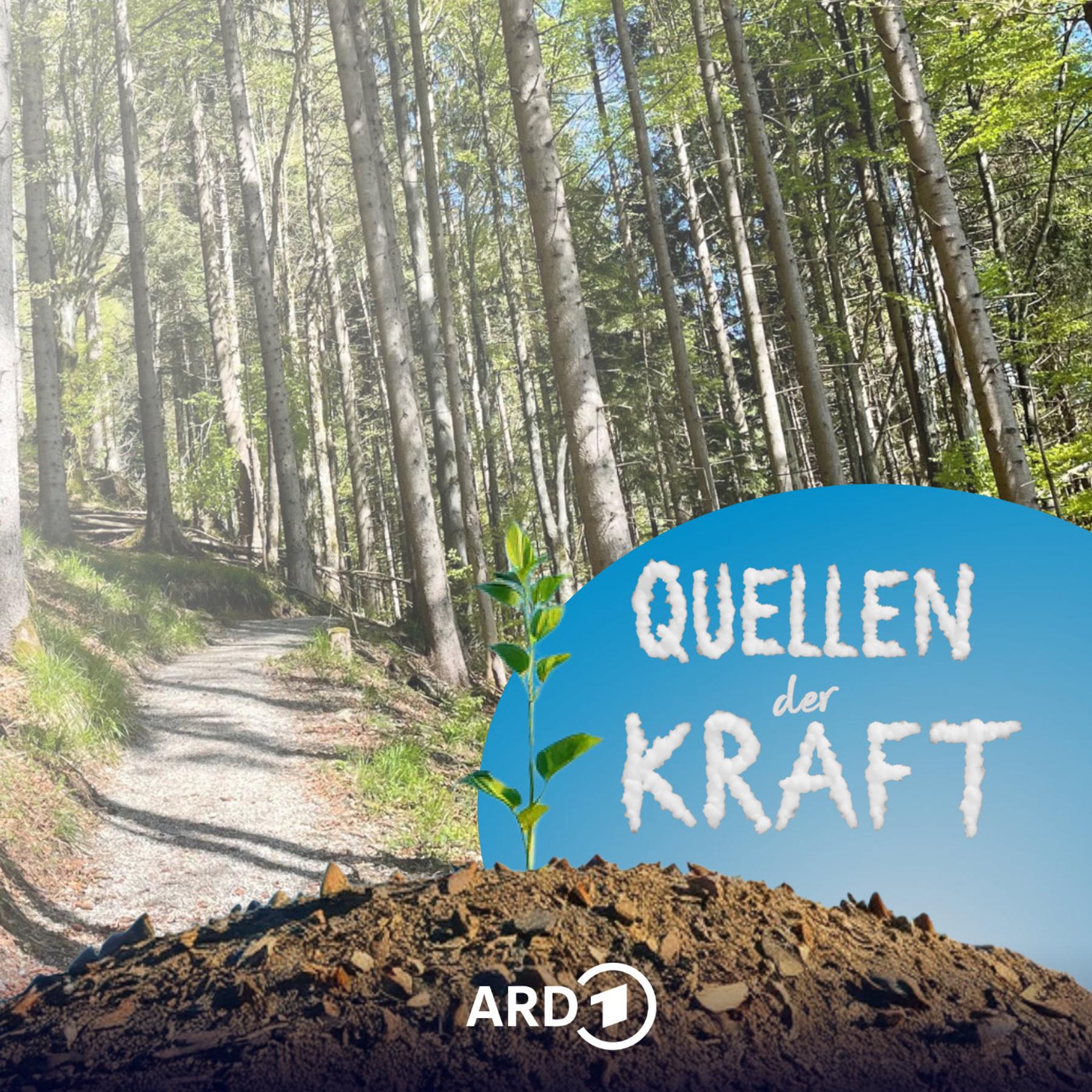 Quellen der Kraft - Die Seele auftanken in der Natur episode artwork