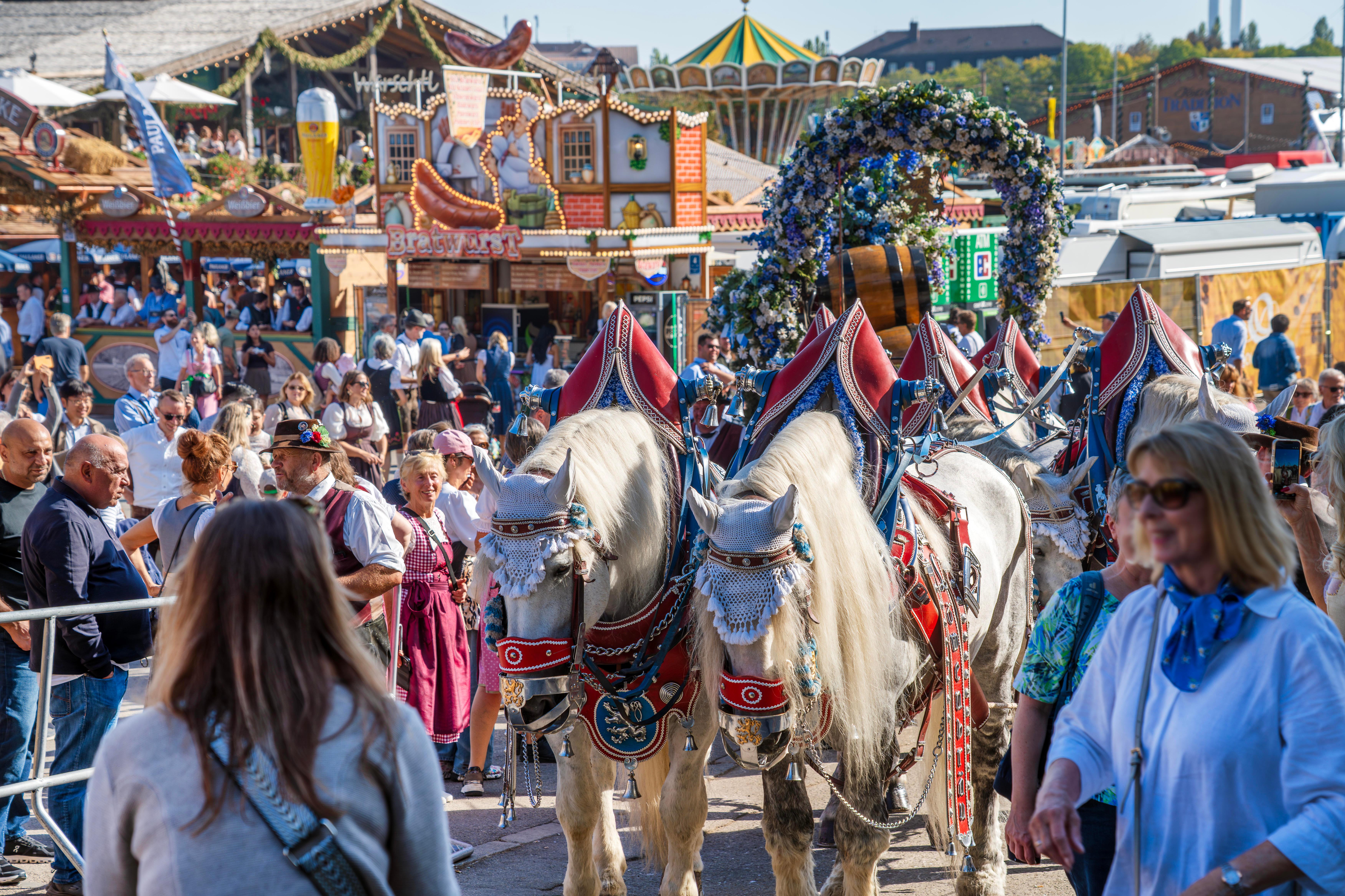 Sonne satt auf der Wiesn 2026 – gefolgt vom goldenen Oktober | BR24
