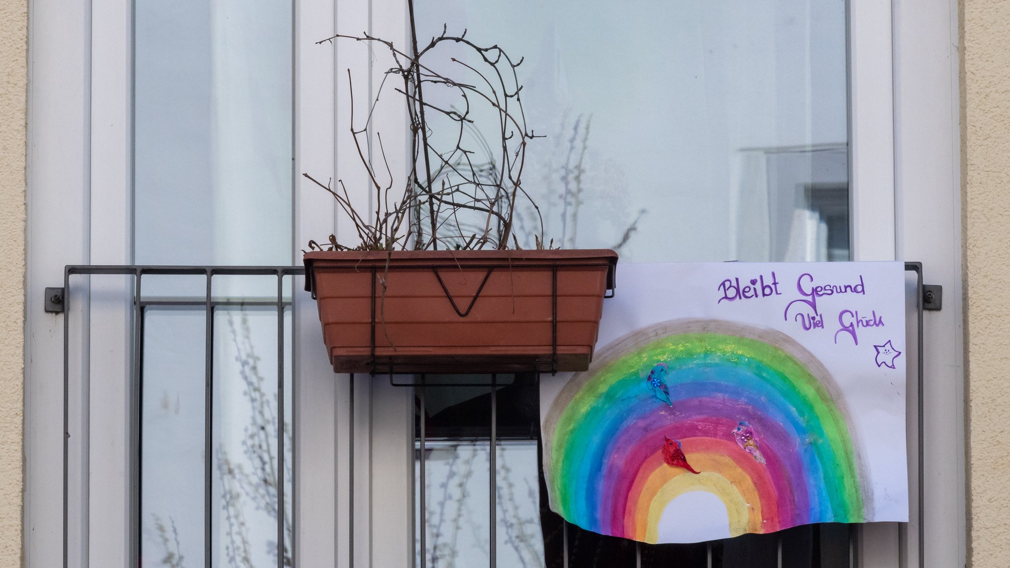 An einem Fenster hängt ein gemaltes Bild von einem Regenbogen.