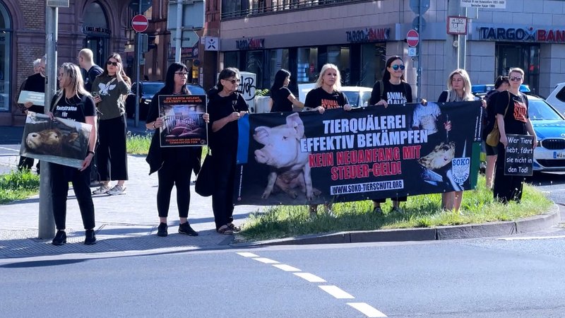 Tierschützer demonstreieren in Aschaffenburg
