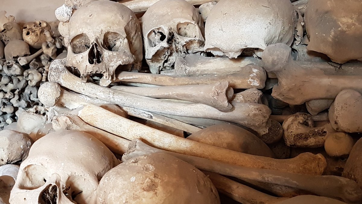 Ostbayern klauen über ein Dutzend Totenschädel in Österreich