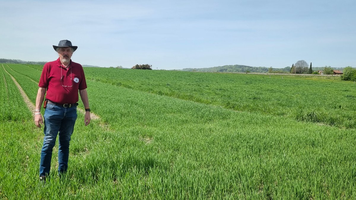Bio-Landwirt Josef Huber aus Mittergars auf einem seiner Felder mit Emmer