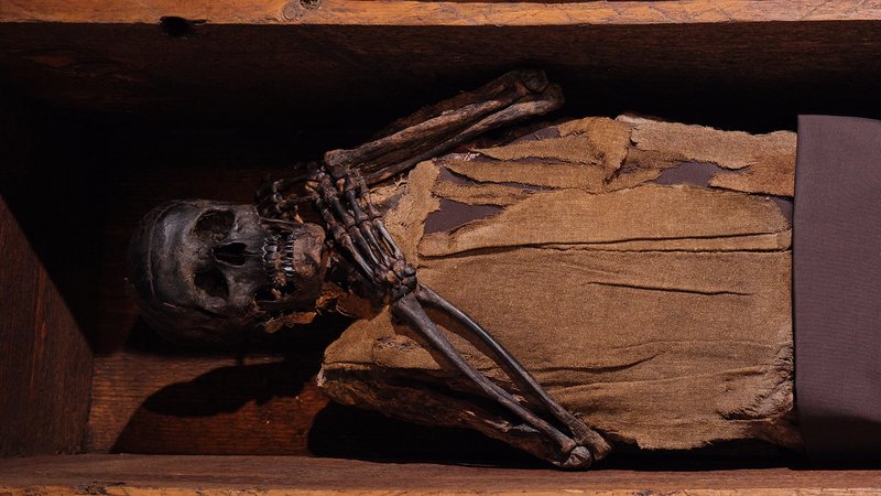 Dunkles Skelett mit Stoffresten am Oberkörper | Bild: ASM, Stefanie Friedrich Dunkles Skelett mit Stoffresten am Oberkörper
