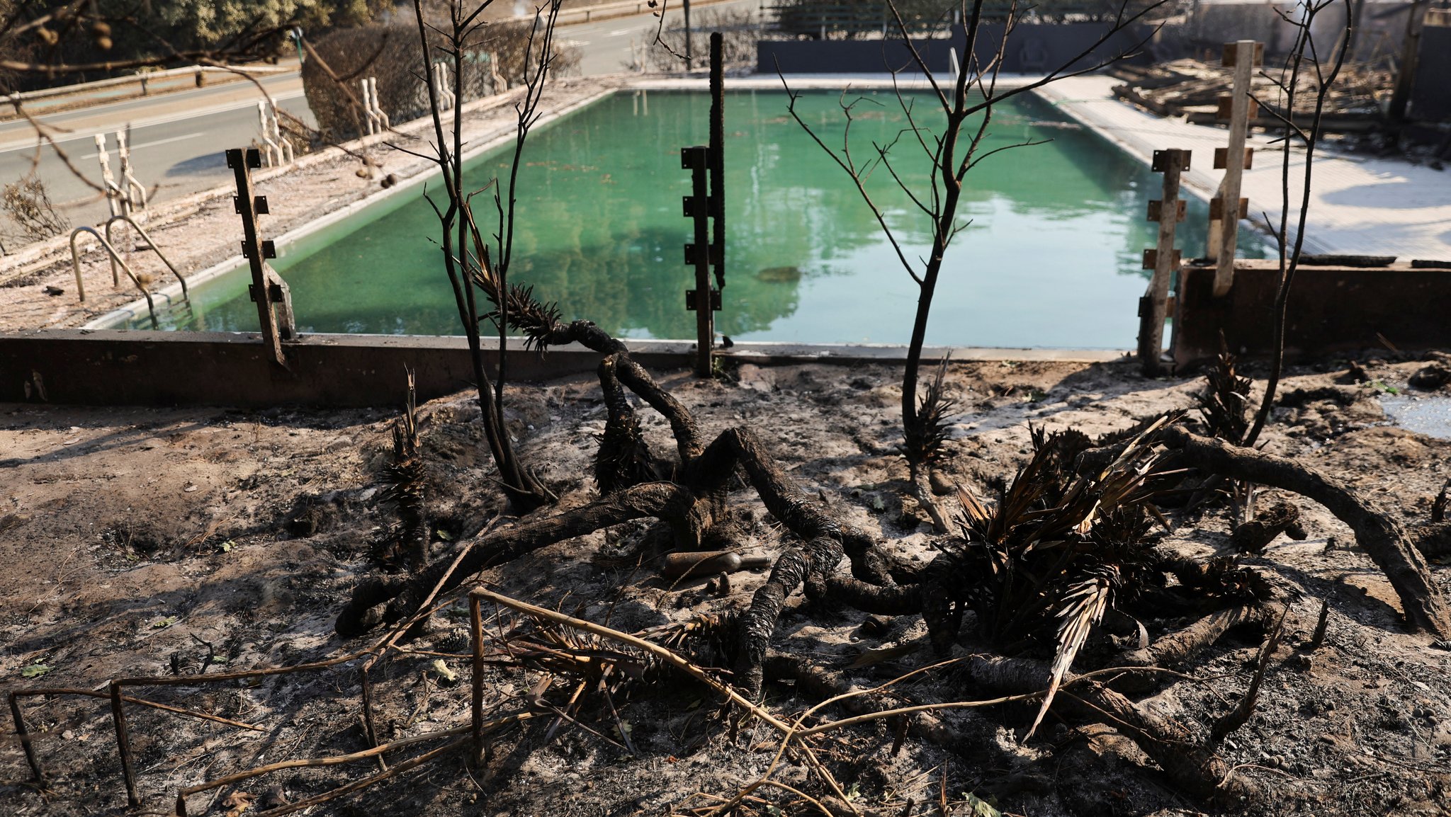 Abgebrannte Vegetation neben einem vollen Pool bei Pyla-sur-Mer in der Nähe von Bordeaux, Frankreich. 