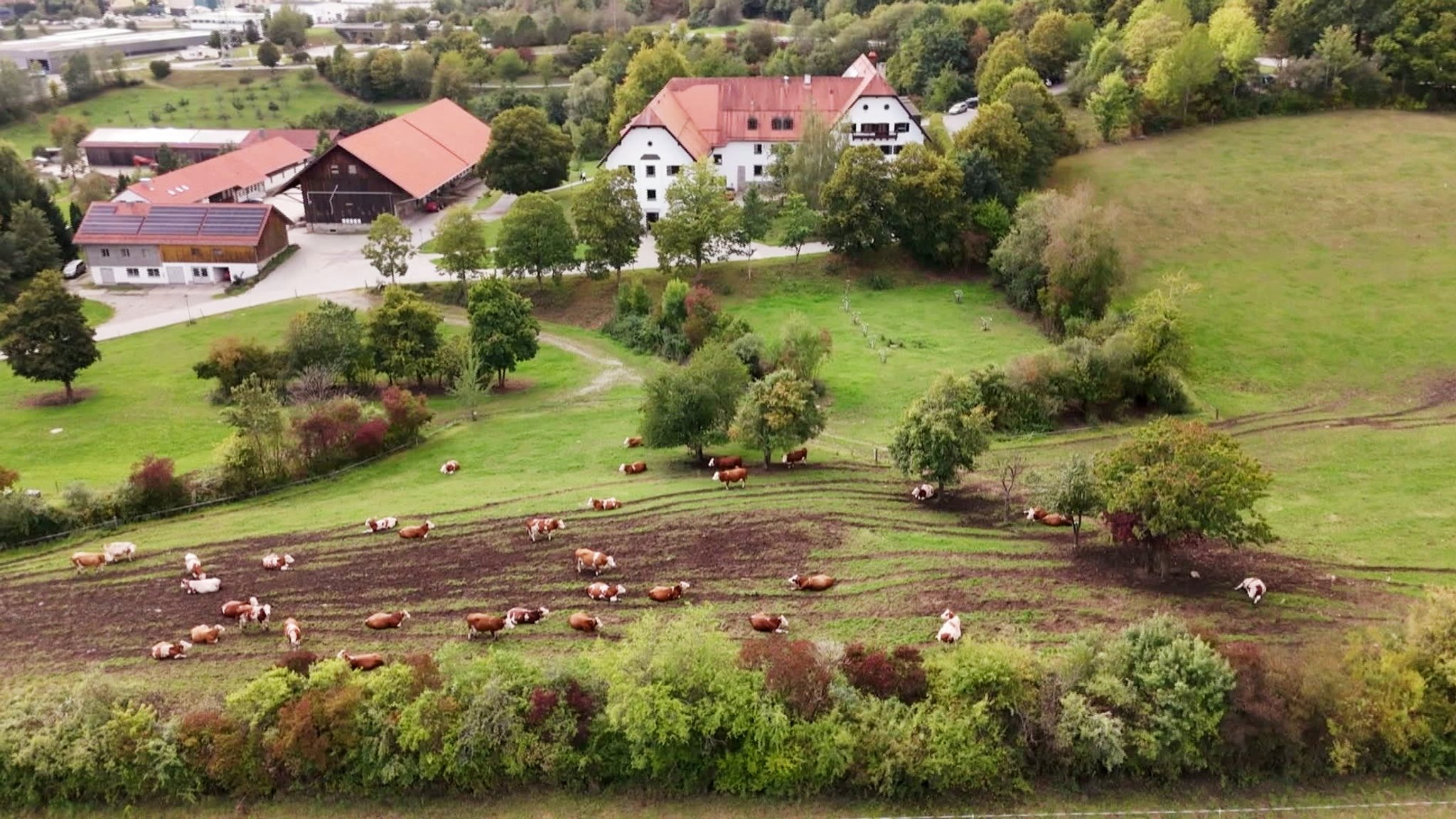 Der Rechnungshof kritisiert hohe Kosten bei Bayerns Staatsgütern. Nun könnten die Gaststätte Guglhör und der Öko-Zuchtsauenstall in Kringell schließen. | Bild: BR Der Rechnungshof kritisiert hohe Kosten bei Bayerns Staatsgütern. Nun könnten die Gaststätte Guglhör und der Öko-Zuchtsauenstall in Kringell schließen.