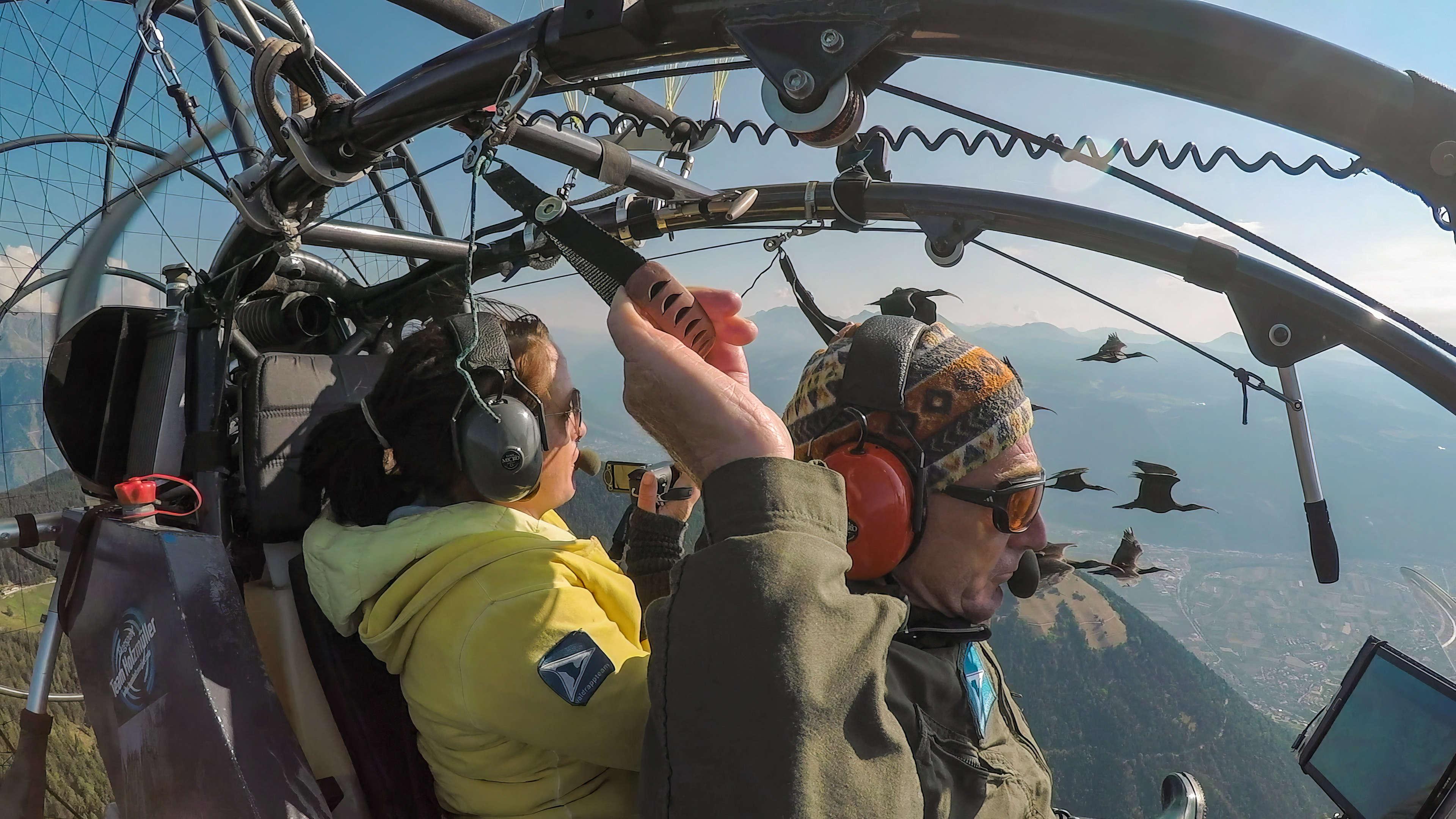 Personen im Leichtflugzeug mit fliegenden Waldrappen.