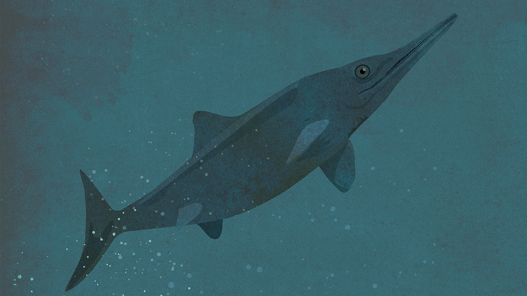 Illustration eines Ichthyoauriers - eines Fischsauriers, schwimmend im Meer. Im Buch "Die Knochenjäger" erzählen Silke Vry und Claudia Lieb von den Pionieren der Paläontologie.