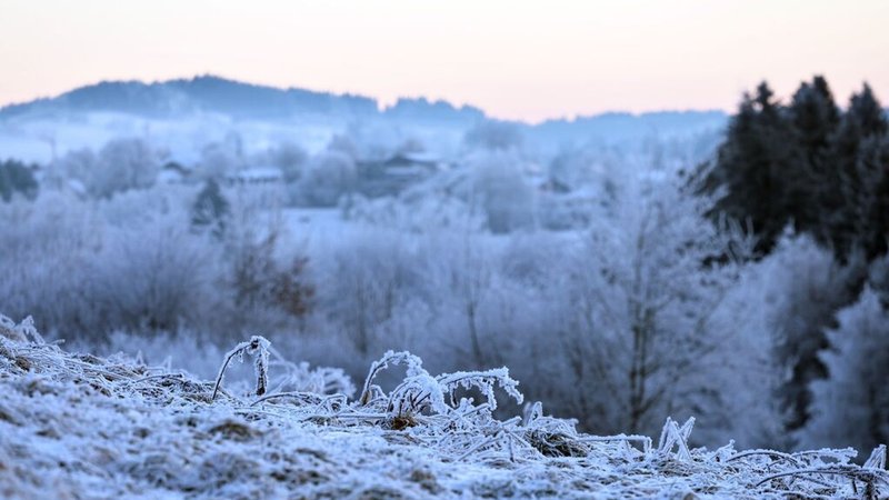 27.12.2025, Bayern, Oy-Mittelberg: Mit Raureif überzogen ist die Allgäuer Landschaft am frühen Morgen. Foto: Karl-Josef Hildenbrand/dpa +++ dpa-Bildfunk +++ | Bild: dpa-Bildfunk/Karl-Josef Hildenbrand 27.12.2025, Bayern, Oy-Mittelberg: Mit Raureif überzogen ist die Allgäuer Landschaft am frühen Morgen. Foto: Karl-Josef Hildenbrand/dpa +++ dpa-Bildfunk +++