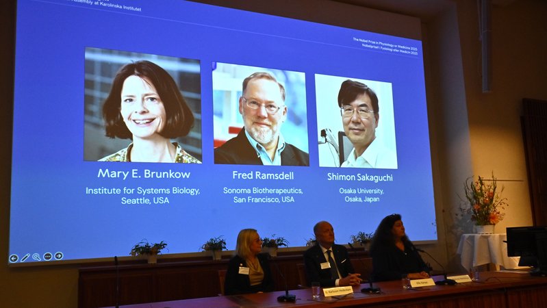 Regulatorische T-Zellen kontrollieren das Immunsystem - 30 Jahre nach ihrer Entdeckung gibt es dafür den Nobelpreis für Medizin und Physiologie | Bild: picture alliance / TT NEWS AGENCY / Claudio Bresciani/TT Regulatorische T-Zellen kontrollieren das Immunsystem - 30 Jahre nach ihrer Entdeckung gibt es dafür den Nobelpreis für Medizin und Physiologie