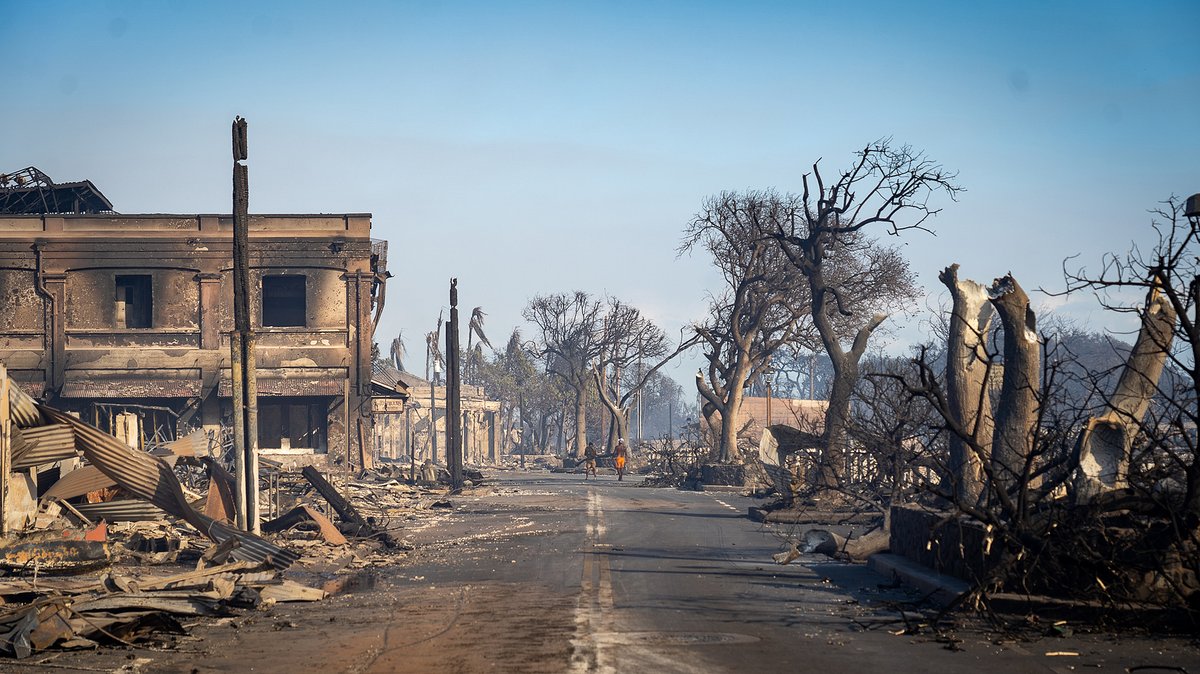 Blick auf verbrannte Bäume und ein stark beschädigtes, ausgebranntes Gebäude