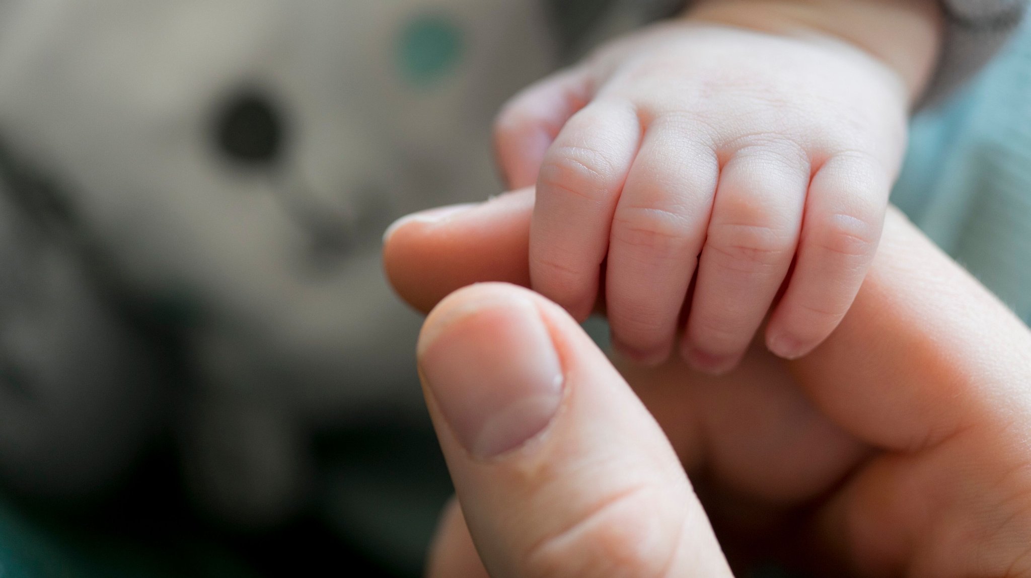 Historisch wenige Geburten: Zwischen Krisen und "Fertility Gap"