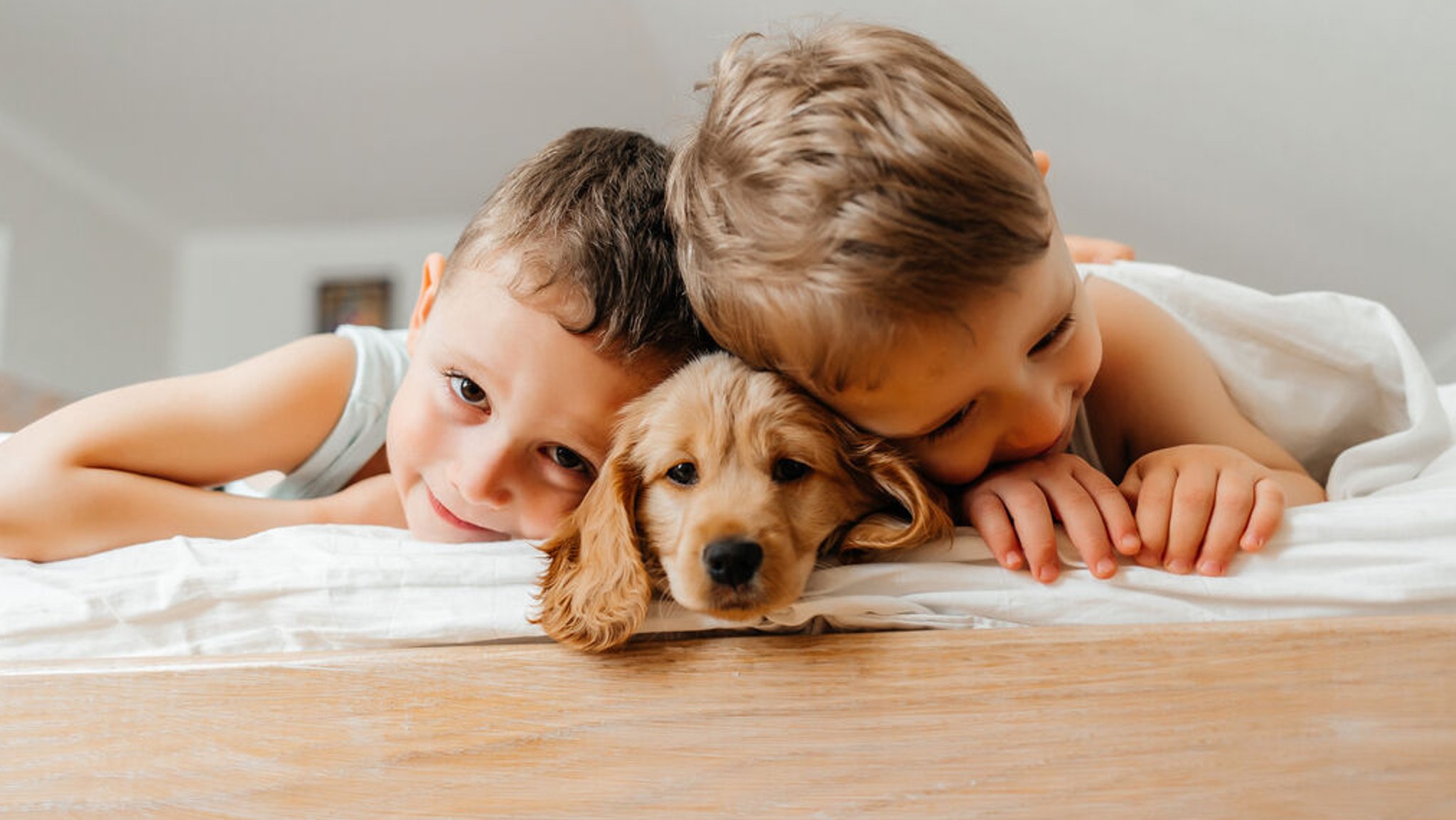 Zwei Jungen liegen auf einer Decke und kuscheln mit einem Hundewelpen.