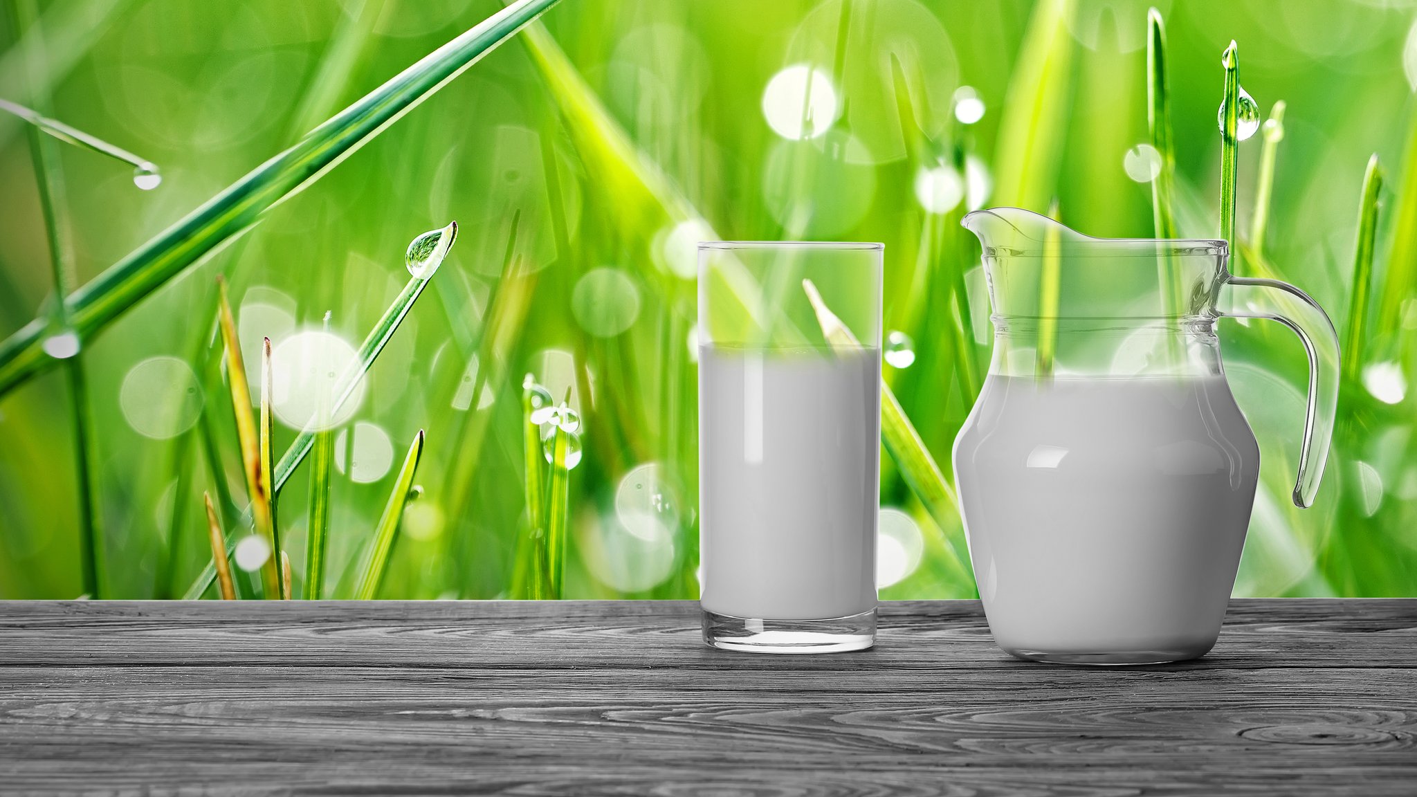 Milch in einem Glas und in einer Karaffe.