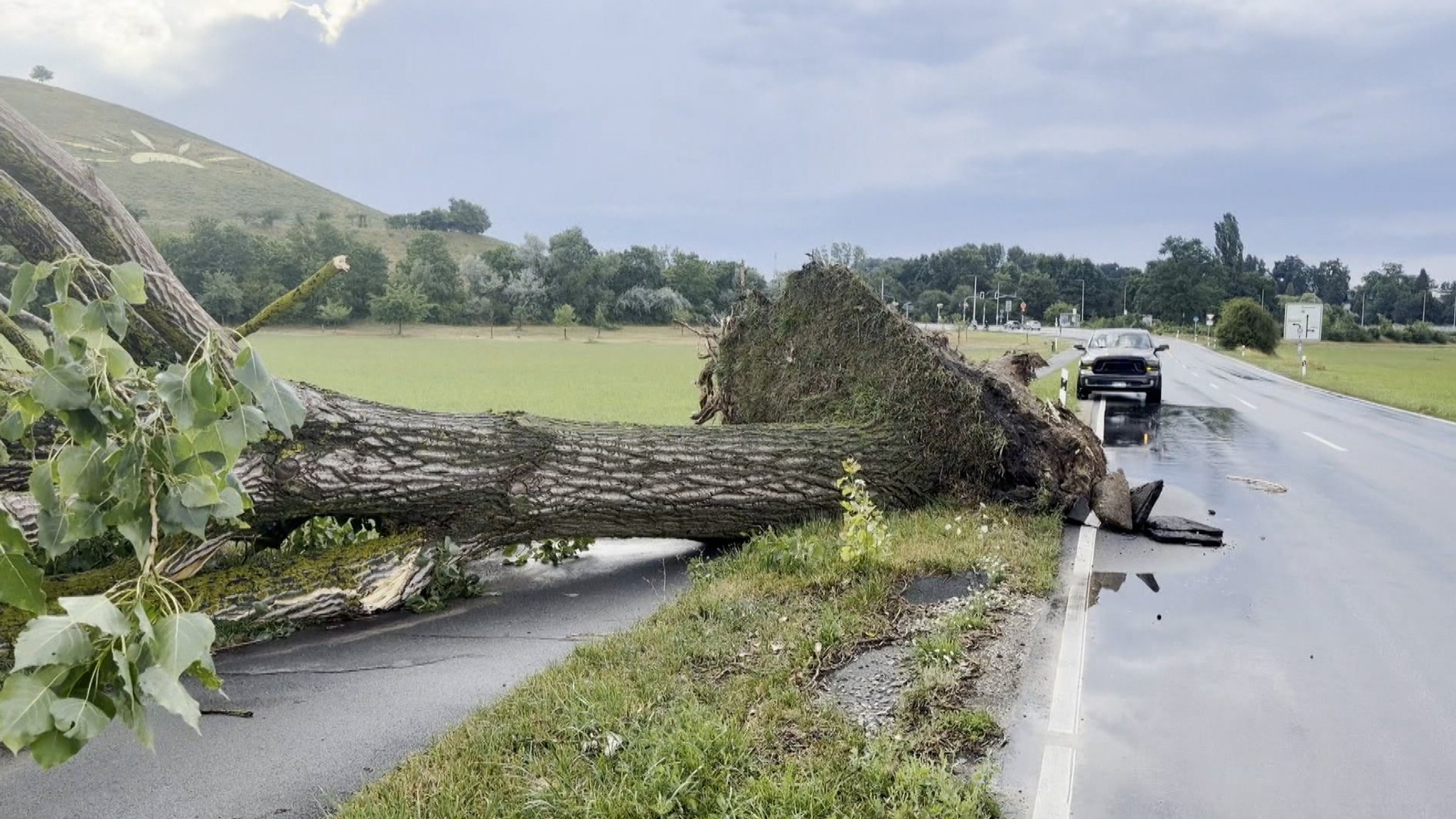 Ein druch das Unwetter herausgerissener Baum auf einer Landstraße in Franken. | Bild: BR Ein druch das Unwetter herausgerissener Baum auf einer Landstraße in Franken.