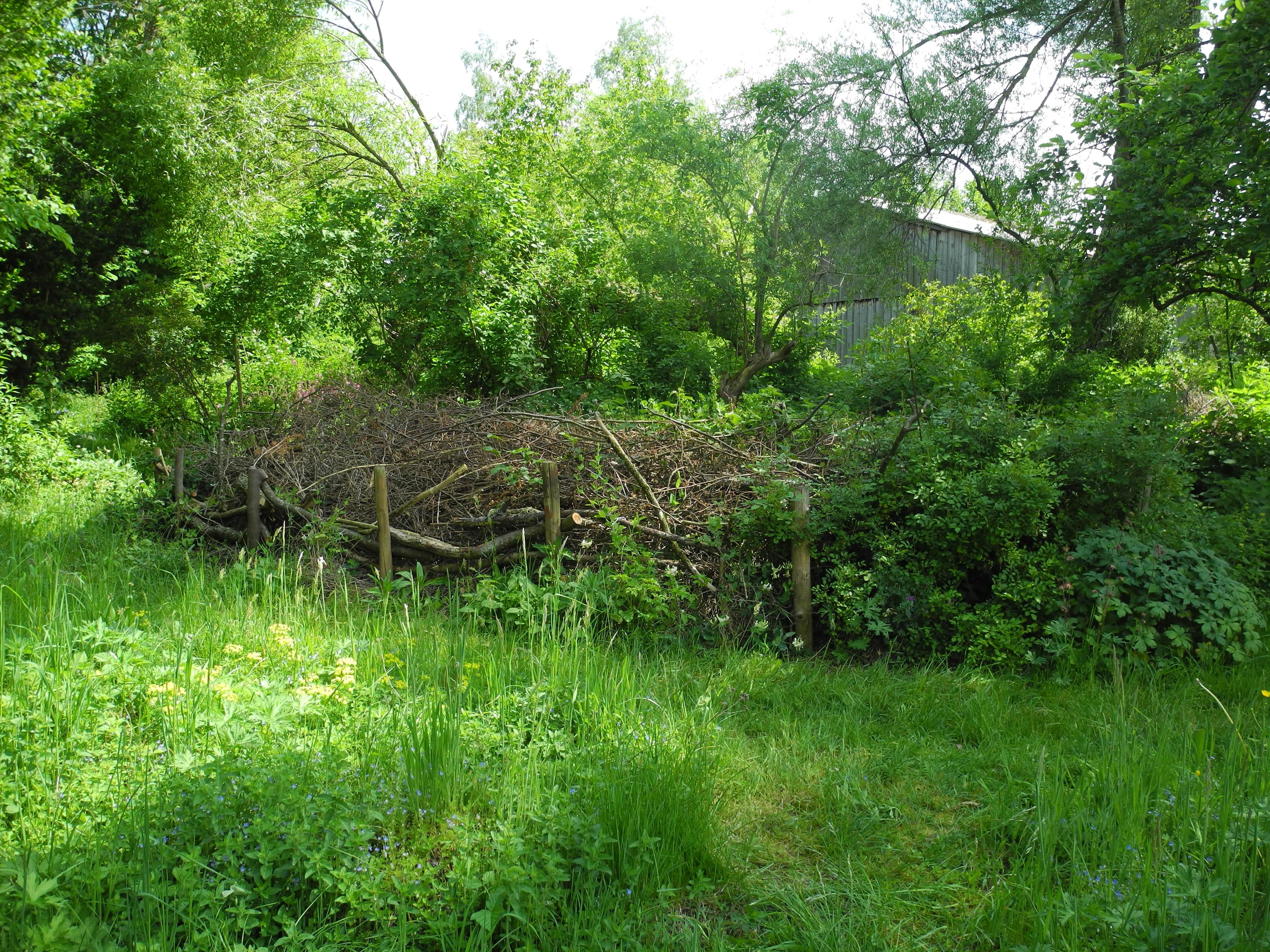Eine eingefasste Ansammlung von Astschnitt in einem Garten mit hohem Gras und Sträuchern im Hintergrund