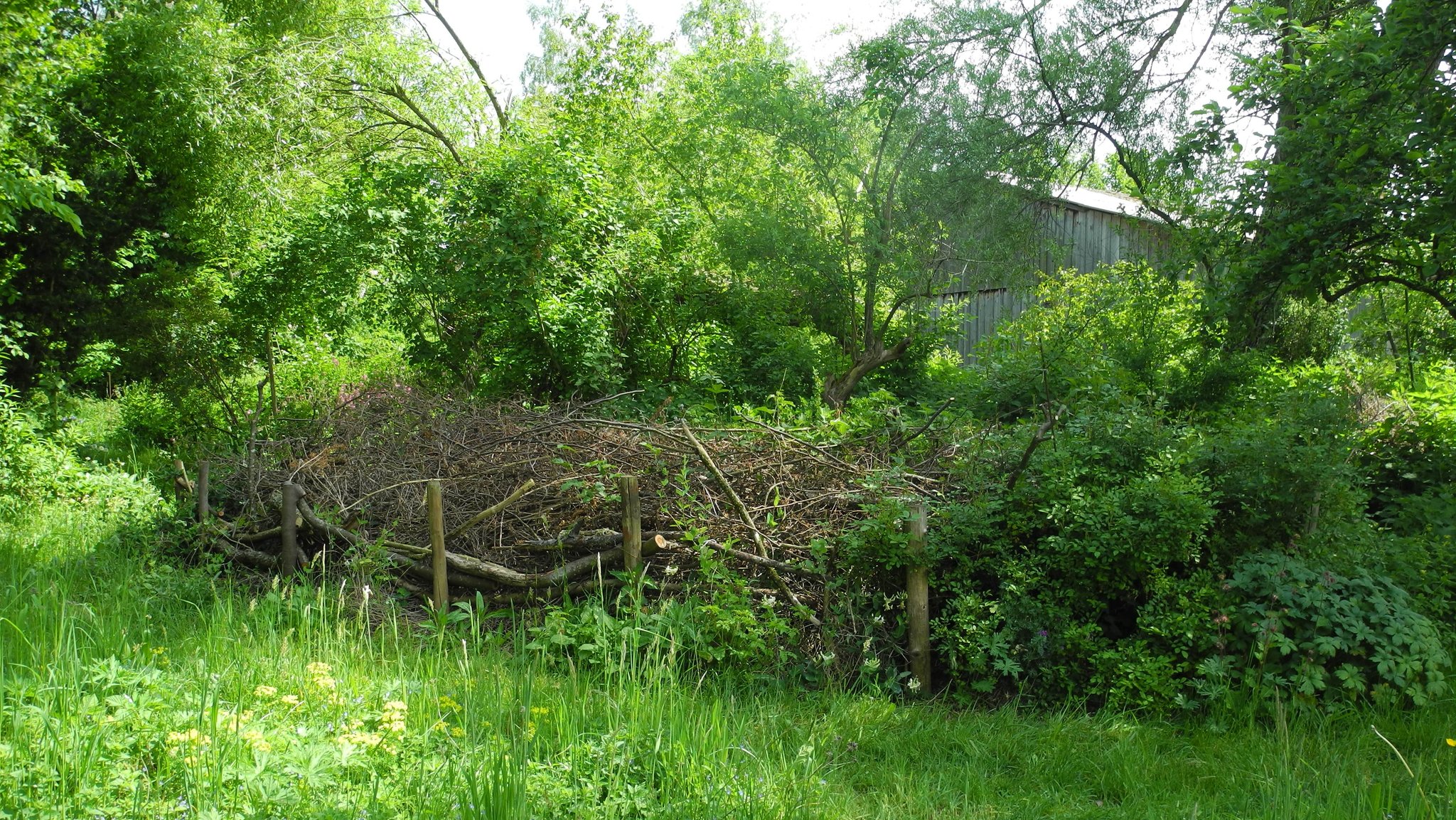 Eine eingefasste Ansammlung von Astschnitt in einem Garten mit hohem Gras und Sträuchern im Hintergrund