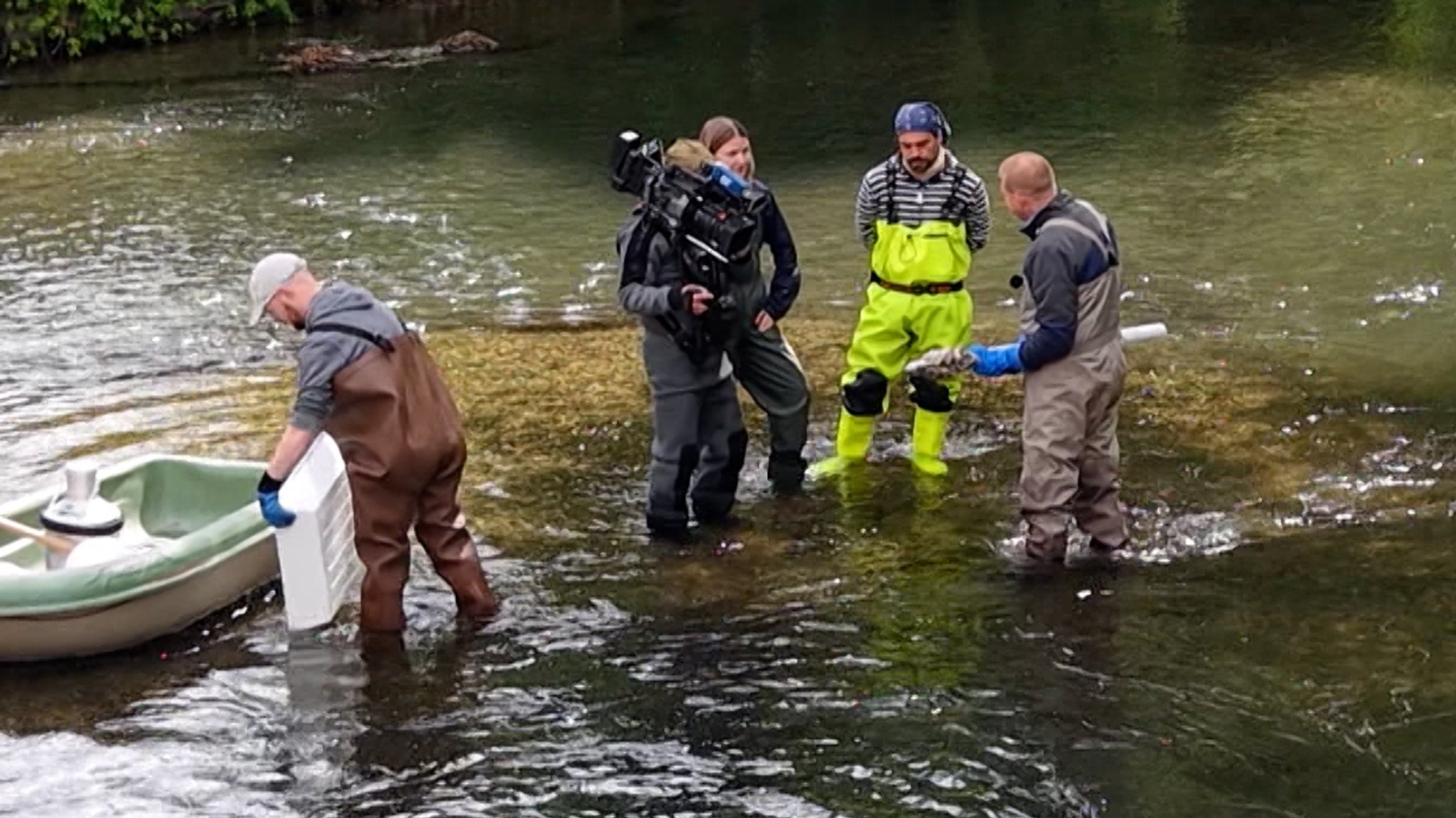 Klimawandel und unterschiedliche Auswirkungen auf Fische | Bild: BR Klimawandel und unterschiedliche Auswirkungen auf Fische