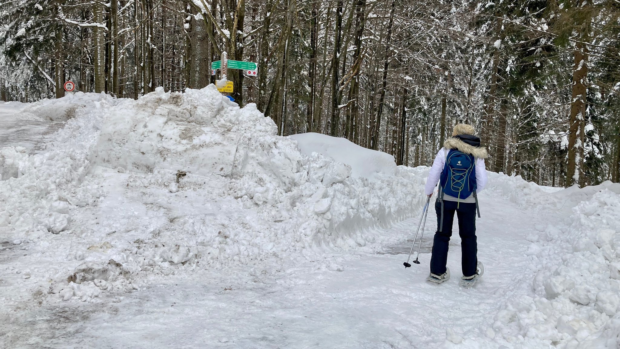 Eine Frau beim Schneeschuhwandern im tief verschneiten Bayerischen Wald