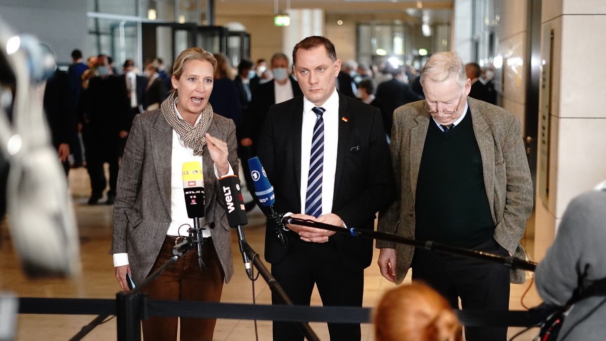 Afd Fraktionsvorstand Erteilt Abgeordneten Vorlaufig Redeverbot Br24