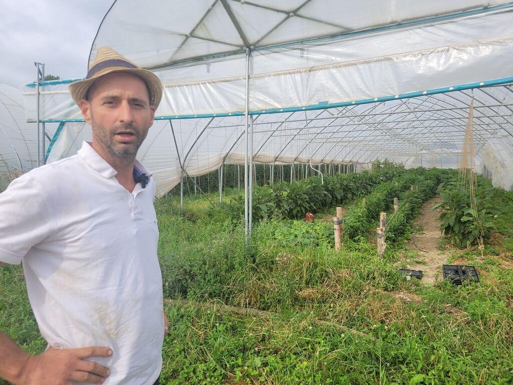 Der Öko-Gemüsebauer Stefan Dellinger vom Konradhof Unering steht vor seinem Folientunnel, in dem Biogemüse wächst.