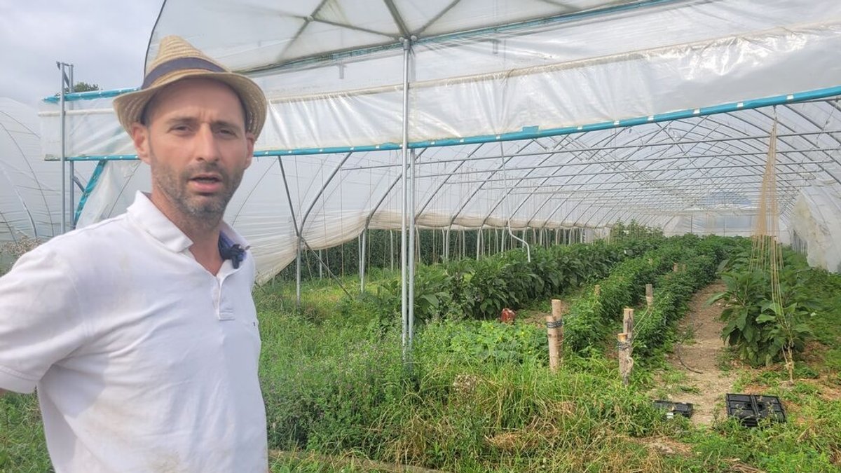 Der Öko-Gemüsebauer Stefan Dellinger vom Konradhof Unering steht vor seinem Folientunnel in dem Biogemüse wächst.