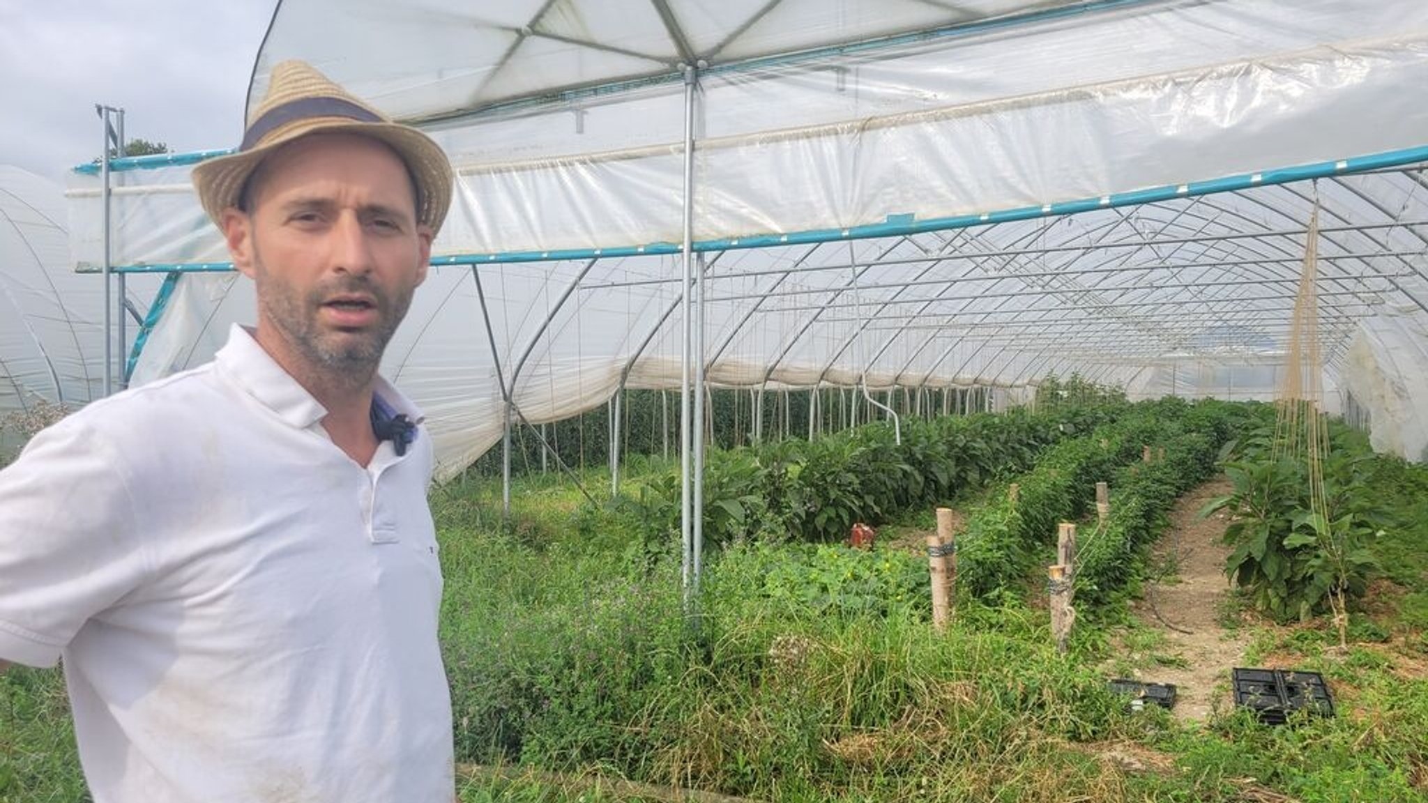 Der Öko-Gemüsebauer Stefan Dellinger vom Konradhof Unering steht vor seinem Folientunnel, in dem Biogemüse wächst.