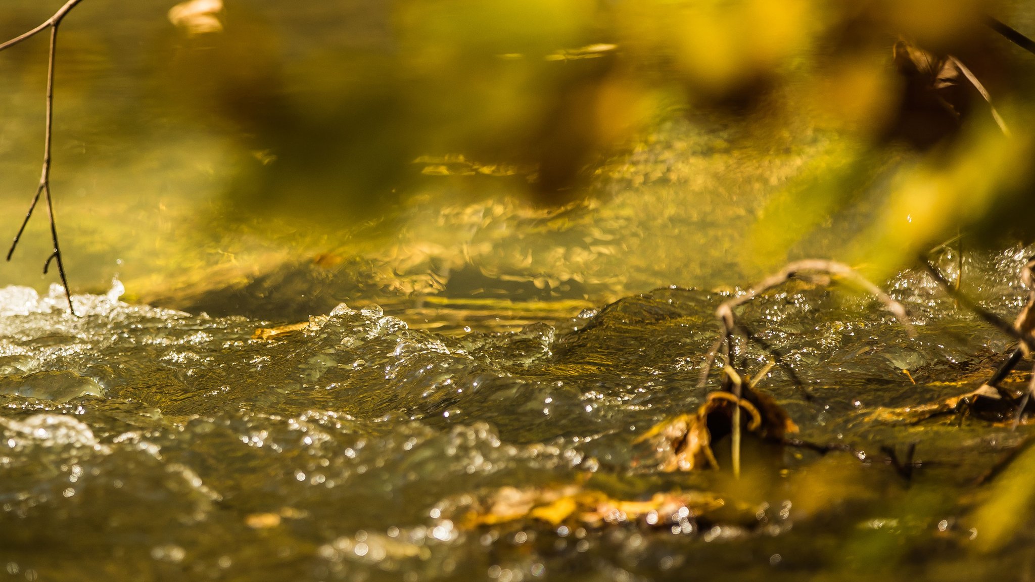 Bachlauf im Herbst