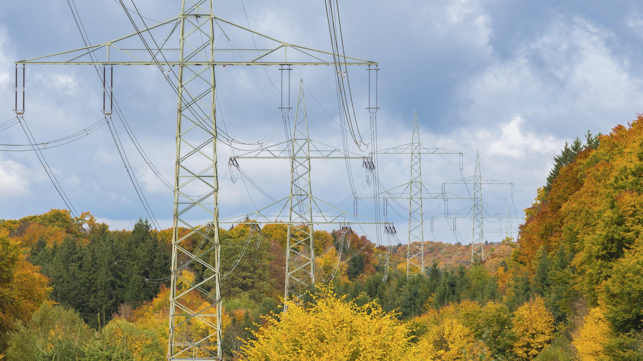 Stromleitungen im Herbst (Symbolbild) | Bild: picture alliance / imageBROKER | Lilly Stromleitungen im Herbst (Symbolbild)