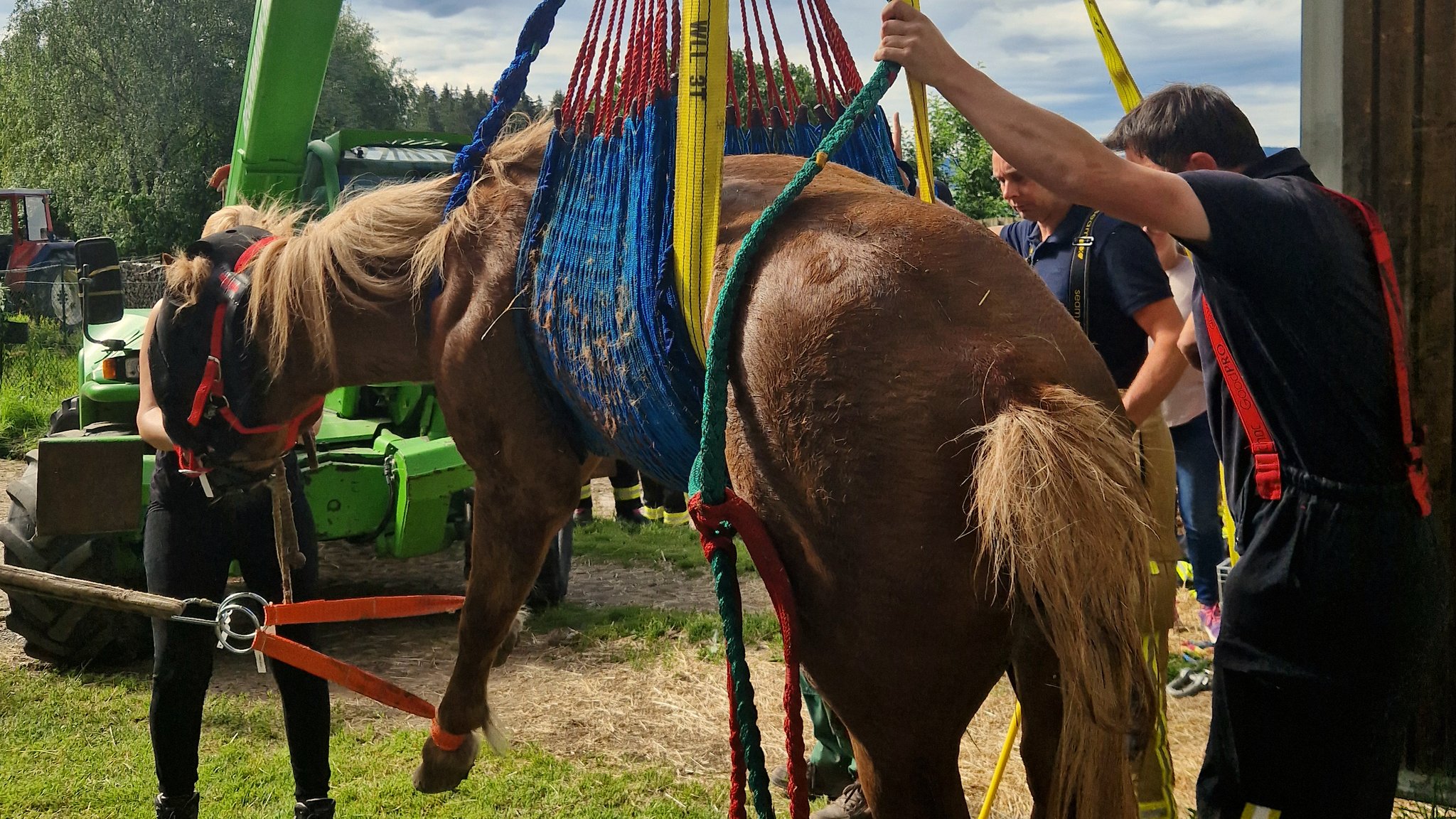 Das Pferd steckte gut 1,5 Meter tief mit seinen Hinterläufen in einem engen Schacht fest. Es bestand die Gefahr, dass es ganz abrutscht.