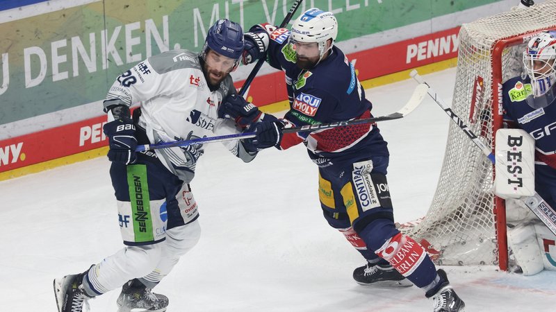Spielszene Eisbären Berlin - Straubing Tigers | Bild: picture-alliance/dpa Spielszene Eisbären Berlin - Straubing Tigers