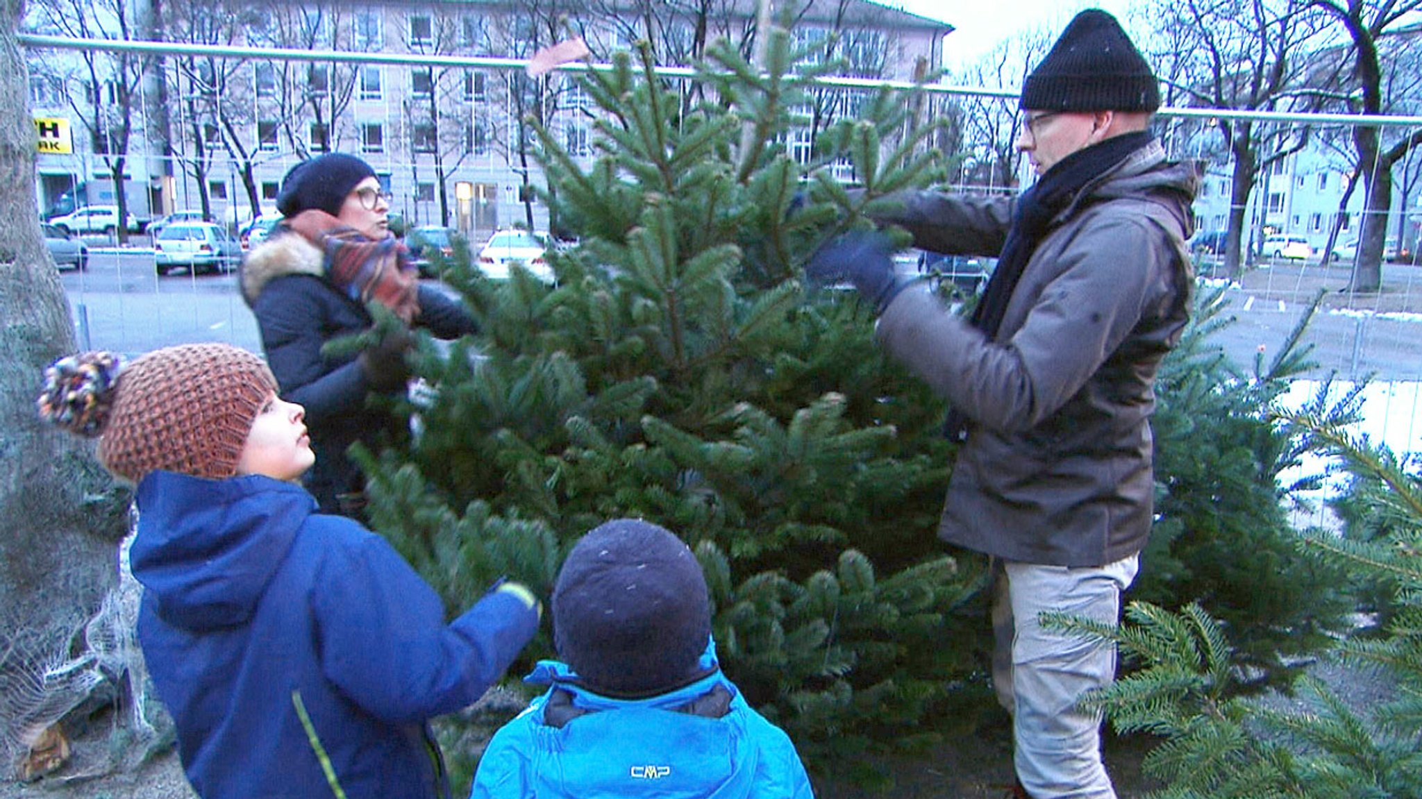 Das ist er! Lange haben sie gesucht, jeder durfte mitreden. Mit diesem Baum ist jetzt die ganze Familie glücklich.