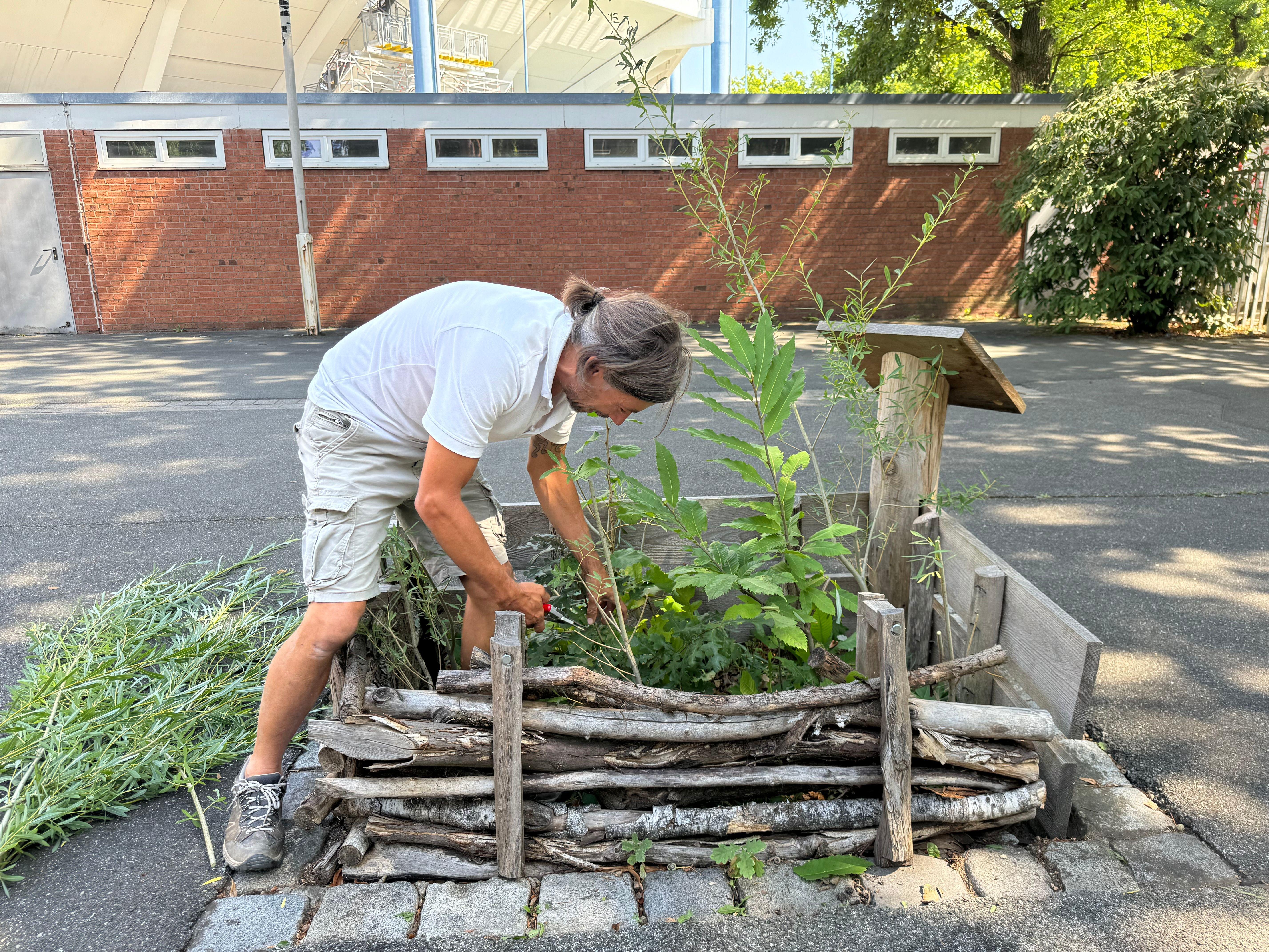 Ein Mann an einem Mini-Beet mit Setzlingen.