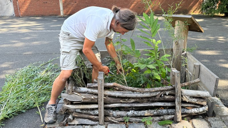 Ein Mann an einem Mini-Beet mit Setzlingen. | Bild: BR24/Ulrike Lefherz Ein Mann an einem Mini-Beet mit Setzlingen.