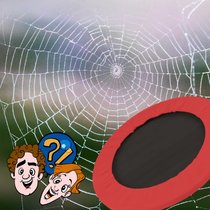 Kann man aus Spinnenseide ein Trampolin bauen? | Bild: colourbox, Collage BR