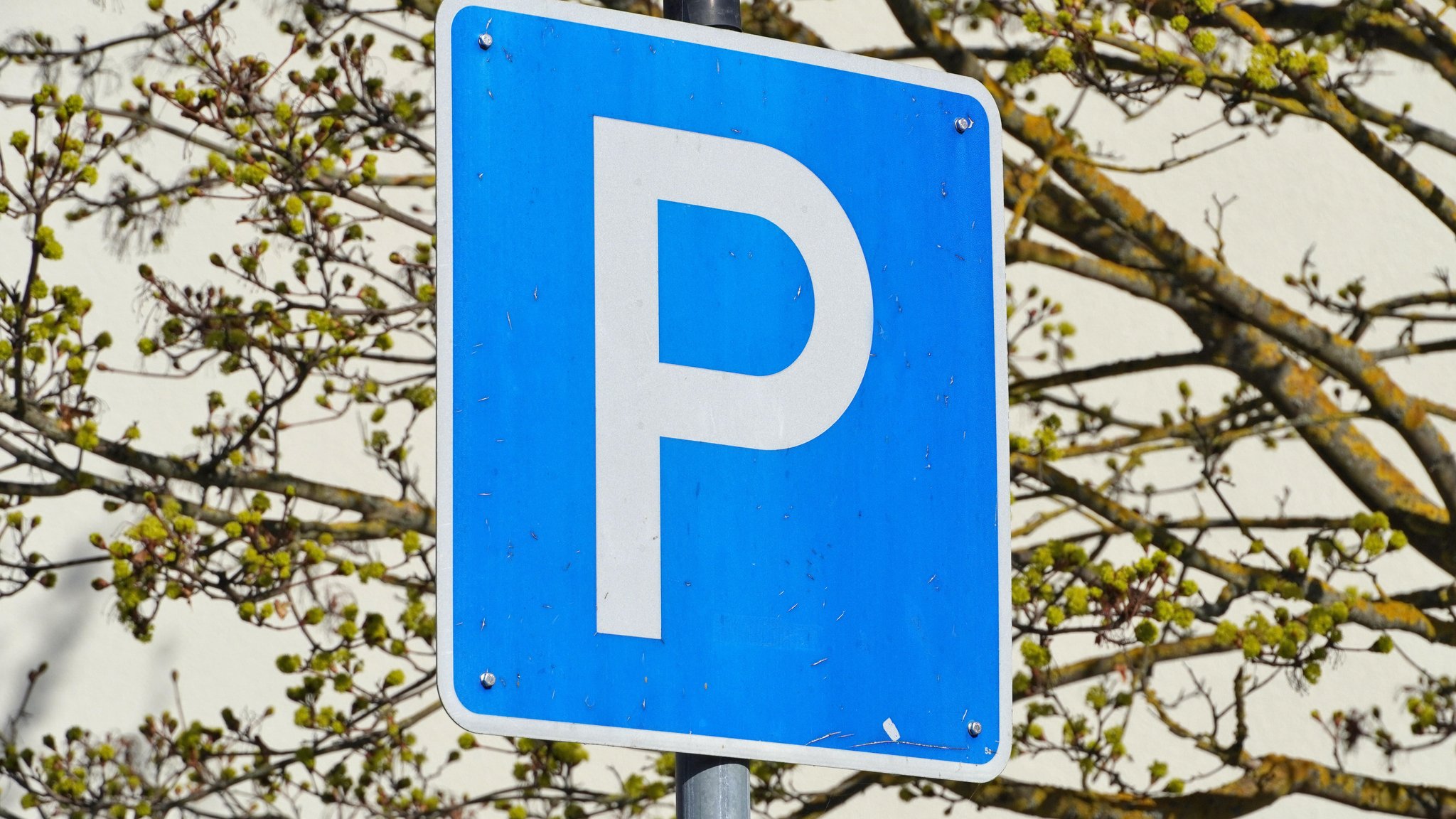 Parkplatzschild (Symbolbild) | Bild: pa / CHROMORANGE | Elke Münzel Parkplatzschild (Symbolbild)