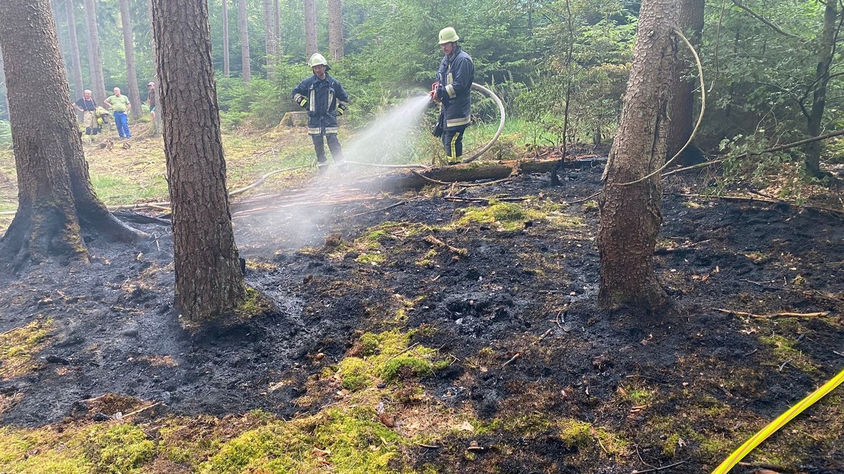 Die Feuerwehr löscht einen Waldbrand in Wolfsbach