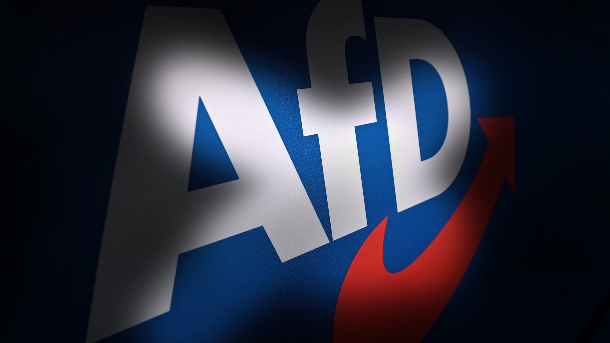Themenbild AfD