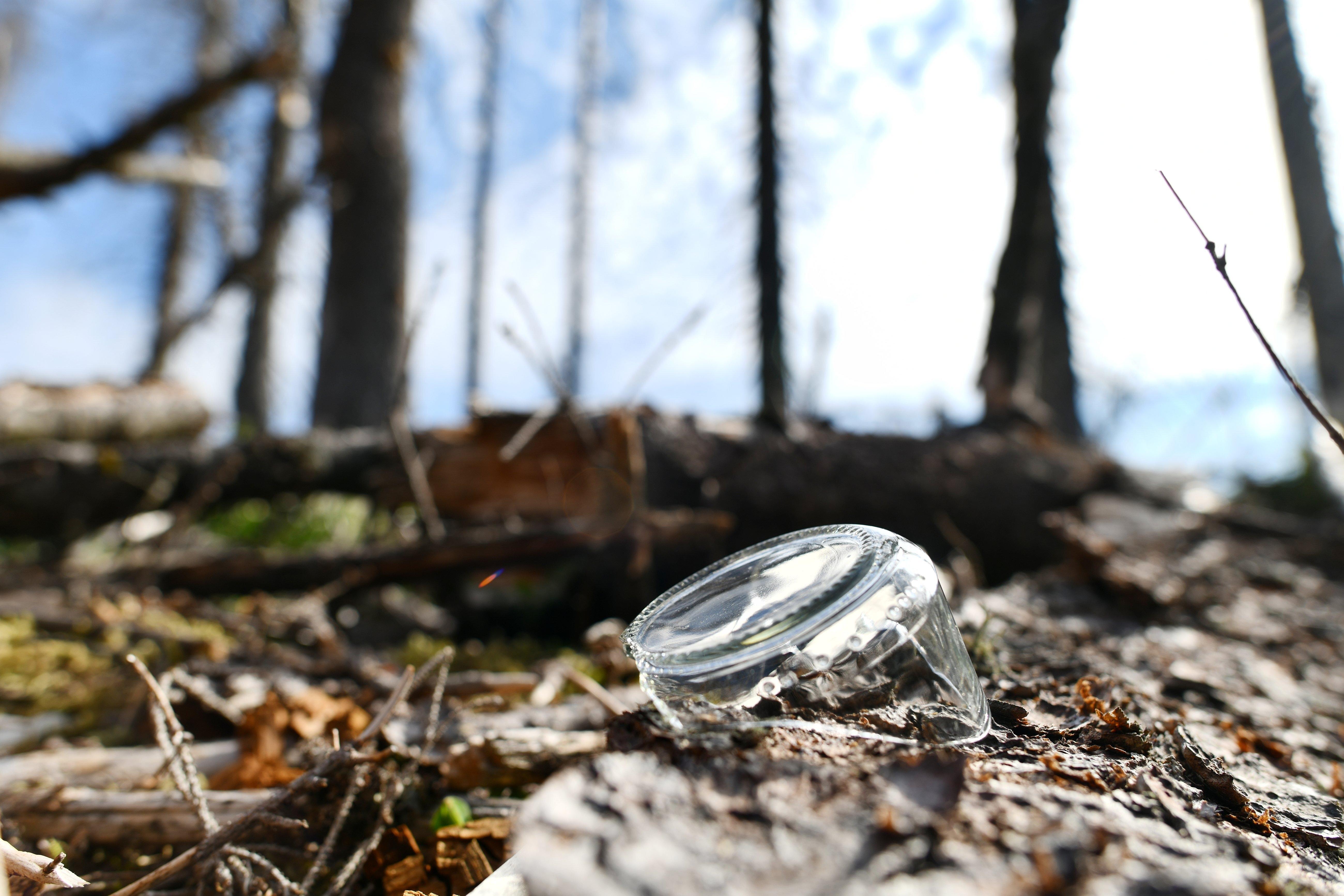Image accompanying Glas, Glasscherben oder Glasflaschen können einen Waldbrand auslösen.