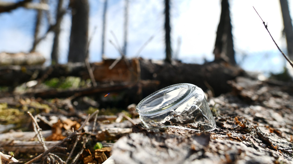 Eine Glasscherbe liegt auf dem Waldboden (Symbolbild)