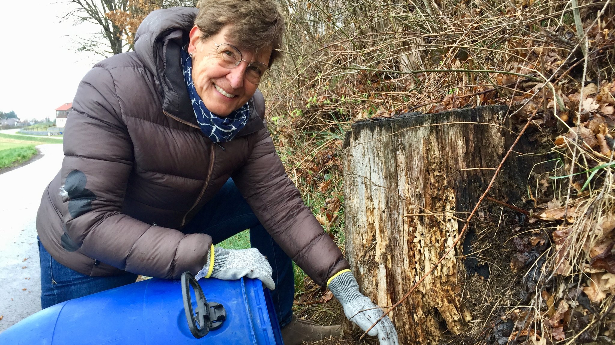 Ameisenhegerin Anette Lafair beim Wegräumen eines Waldameisennestes in Loibling bei Cham. 