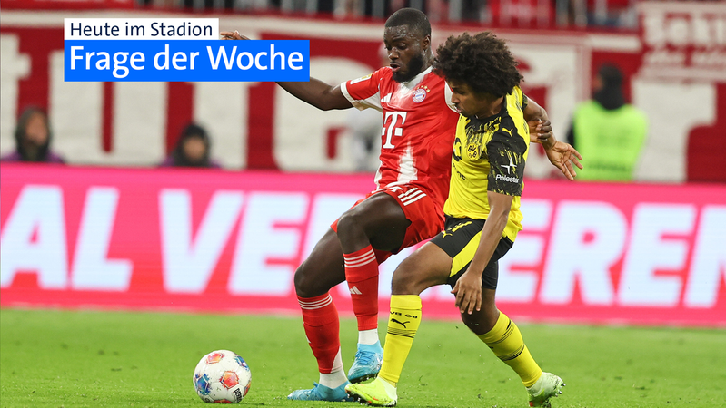 Die Frage der Woche | Bild: picture alliance / sampics / Stefan Matzke | Stefan Matzke Die Frage der Woche