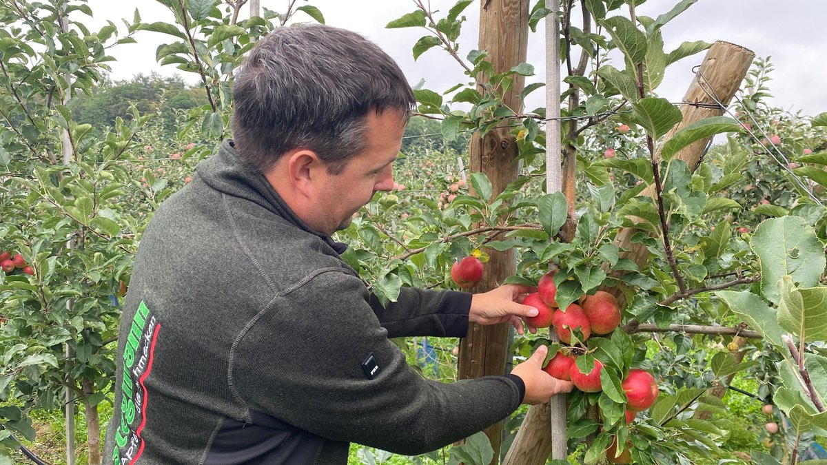 Andreas Stegmann aus Klingenberg ist zufrieden mit der Qualität seiner Äpfel. 