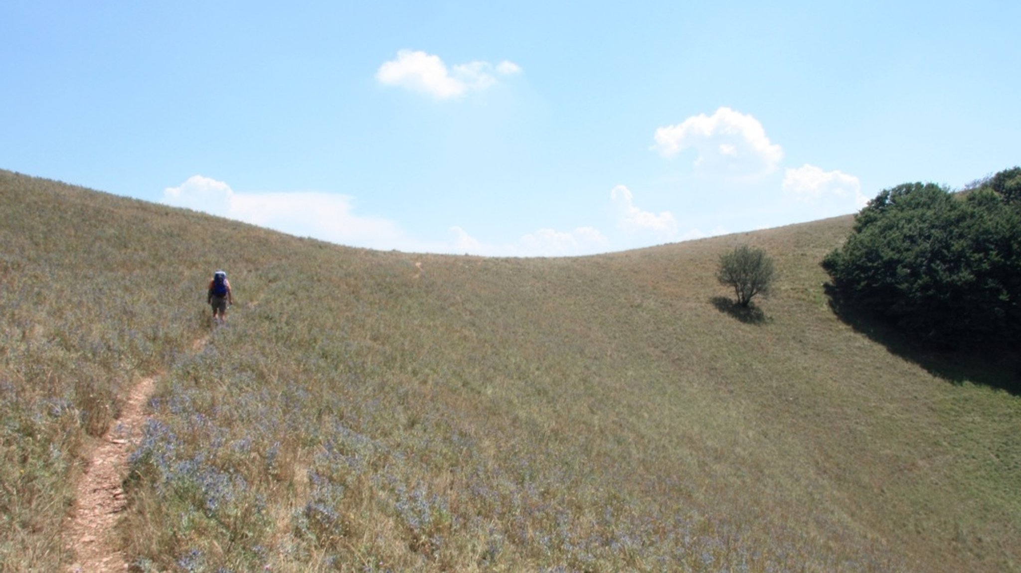 Auf dem Franziskusweg
