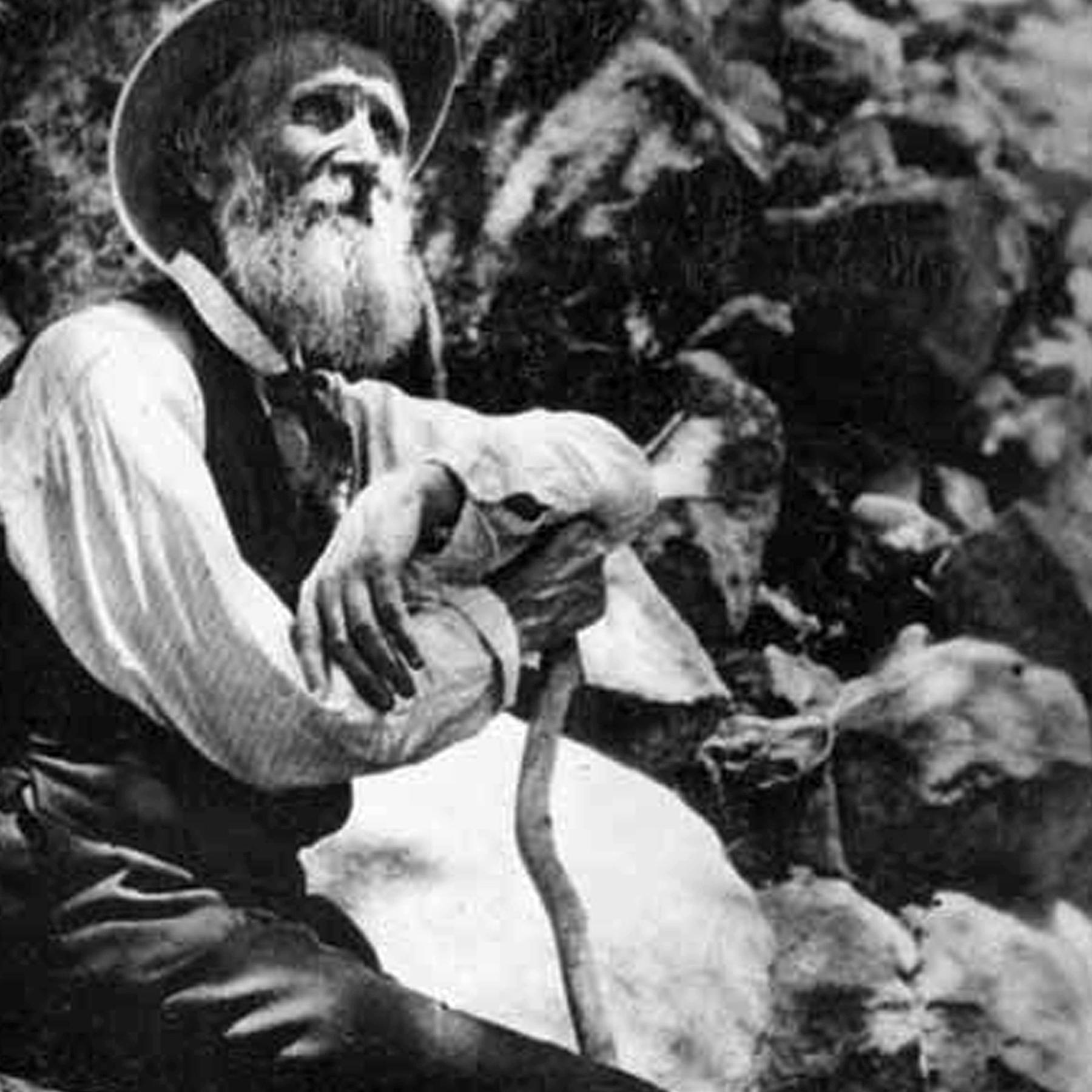 Erinnerung an John Muir - vom Naturforscher zum Naturschützer episode artwork