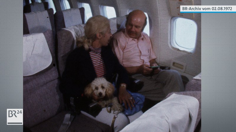 Hund im Flugzeug
